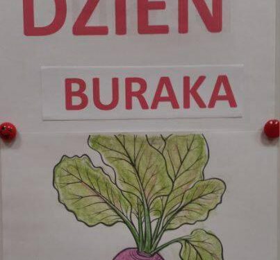 dzień buraka