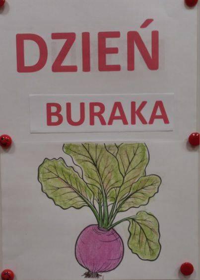 dzień buraka